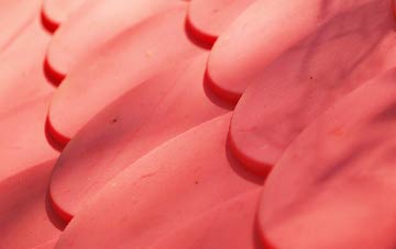 Welshampton plastic roof costs